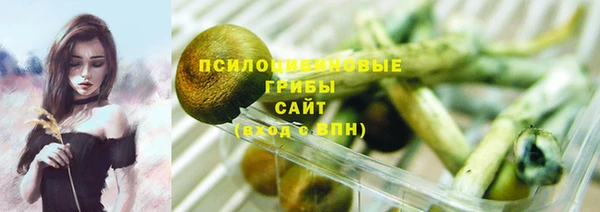амф Алзамай